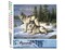 Figured'Art Paint by Numbers Kit for Adults Wolves Couple 16"x20" - Craft Art Painting DIY Kit Rolled Canvas without frame